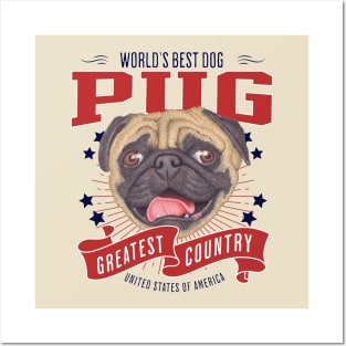 Pug Face USA Posters and Art